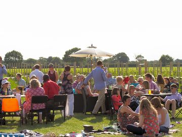 Friends relaxing in the vineyard