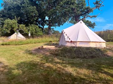 Tents in the orchard