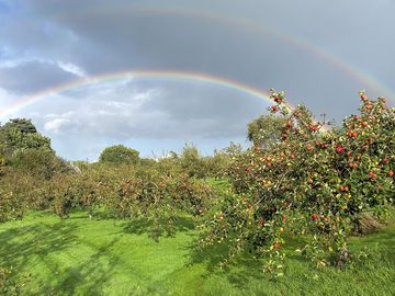 Double rainbow