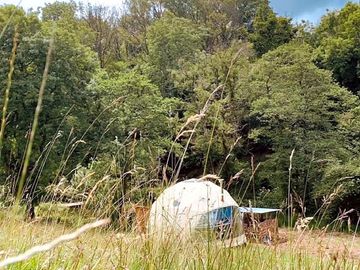 Humble dome in its own private field