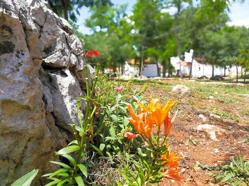 Around the site