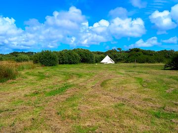 The site