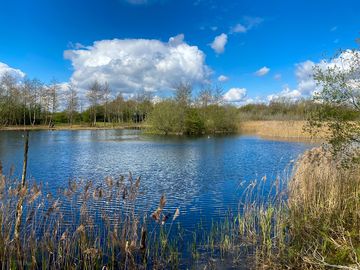 Fishing lake edged by grass