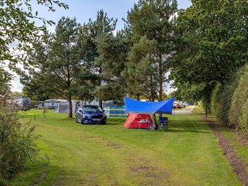 Pitches under the trees