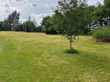 The site