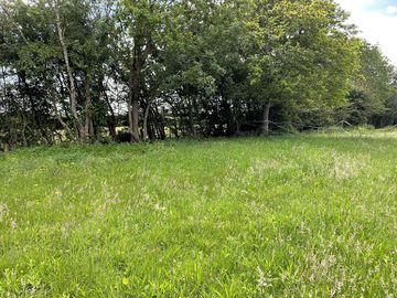 Sheltered field