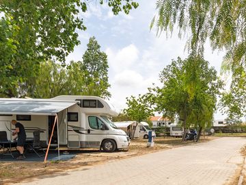 Camping Pitches