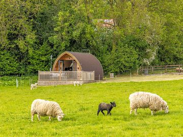 Camping pod