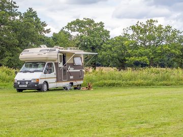 Happy doggy with their motor home