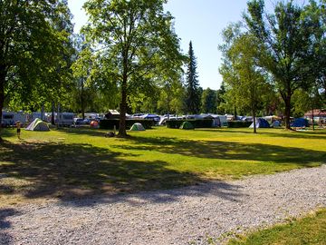 Tent field