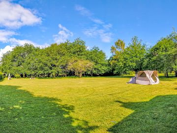 Sunny and shaded pitches