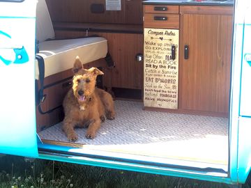 Well-behaved dogs welcome
