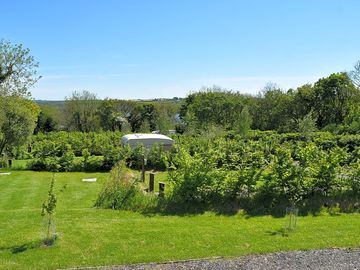 Looking across the site