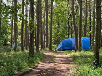 Pitch 4 in castle view
