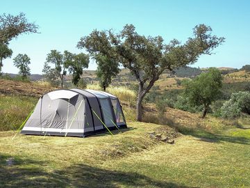 Spacious pitches under cork or oak