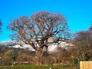 Stunning winter days