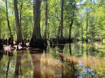 River oxbow