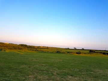 Level grass pitches