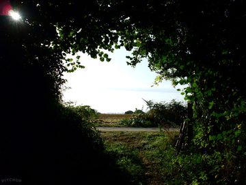 Local walks