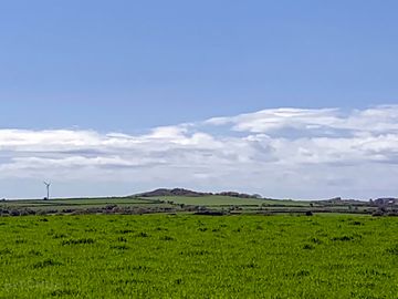 Grass pitches