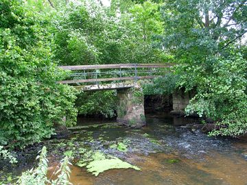 The bridge