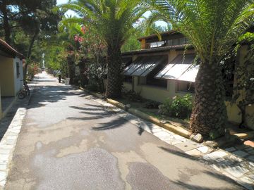 Path through the site