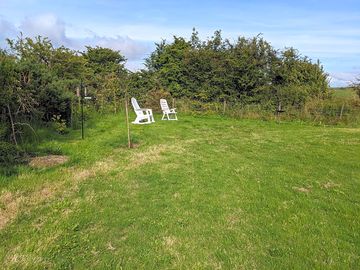 Bird feeding area