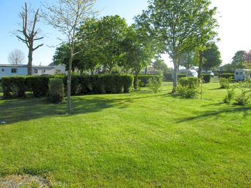 Grass camping pitches