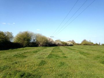 Well-maintained pitches