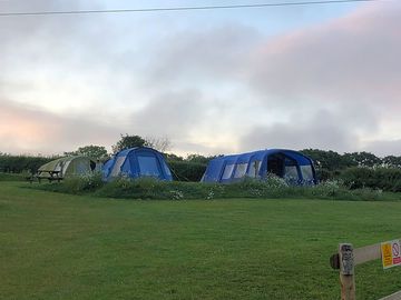 Electric optional tent pitches