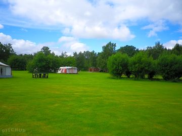 The central field