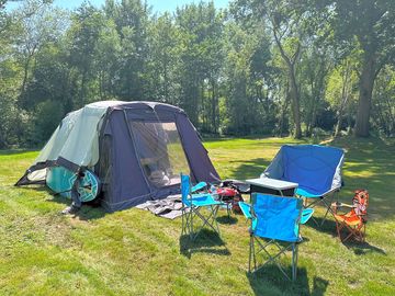 Tree-sheltered camping pitch