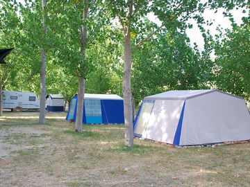 Pitches under the trees