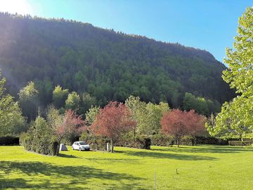 Grass pitches