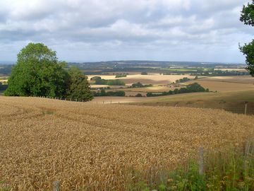 Pastoral views