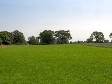 One of the fields