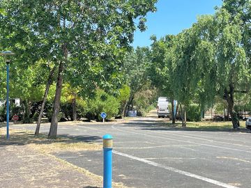 Lots of trees around the pitches