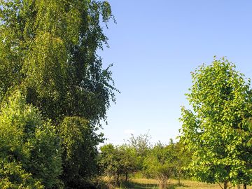 A path located in the camp