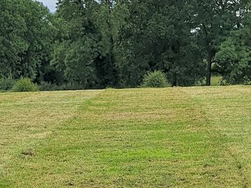 The site after cutting