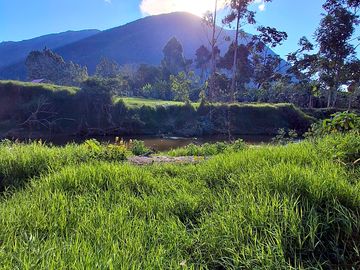 Camping area with gorgeous views
