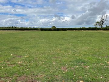Non-electric pitches