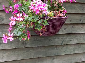 Hanging basket