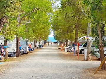 Trees all around for shade