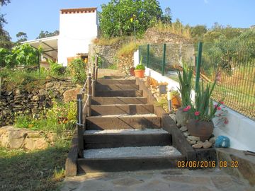 Tejo jardim