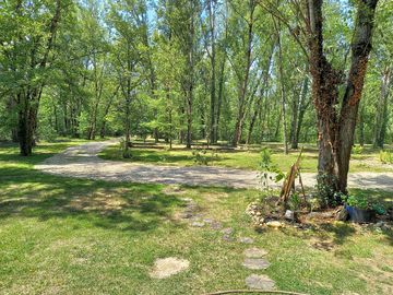 Pitches in the trees
