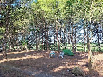 Spacious and shaded