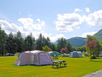 Summer camping