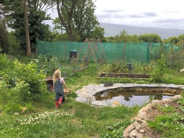 Main garden with pond