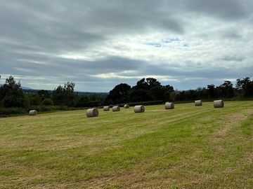 Camping field