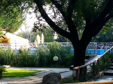 Pool area